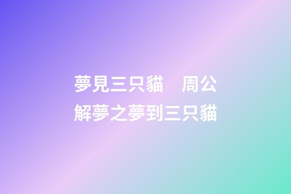 夢見三只貓　周公解夢之夢到三只貓